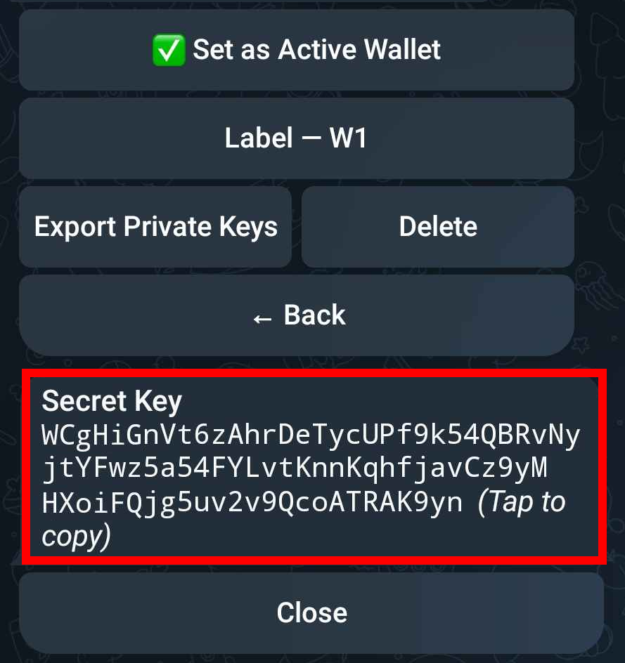 Copy Private Key